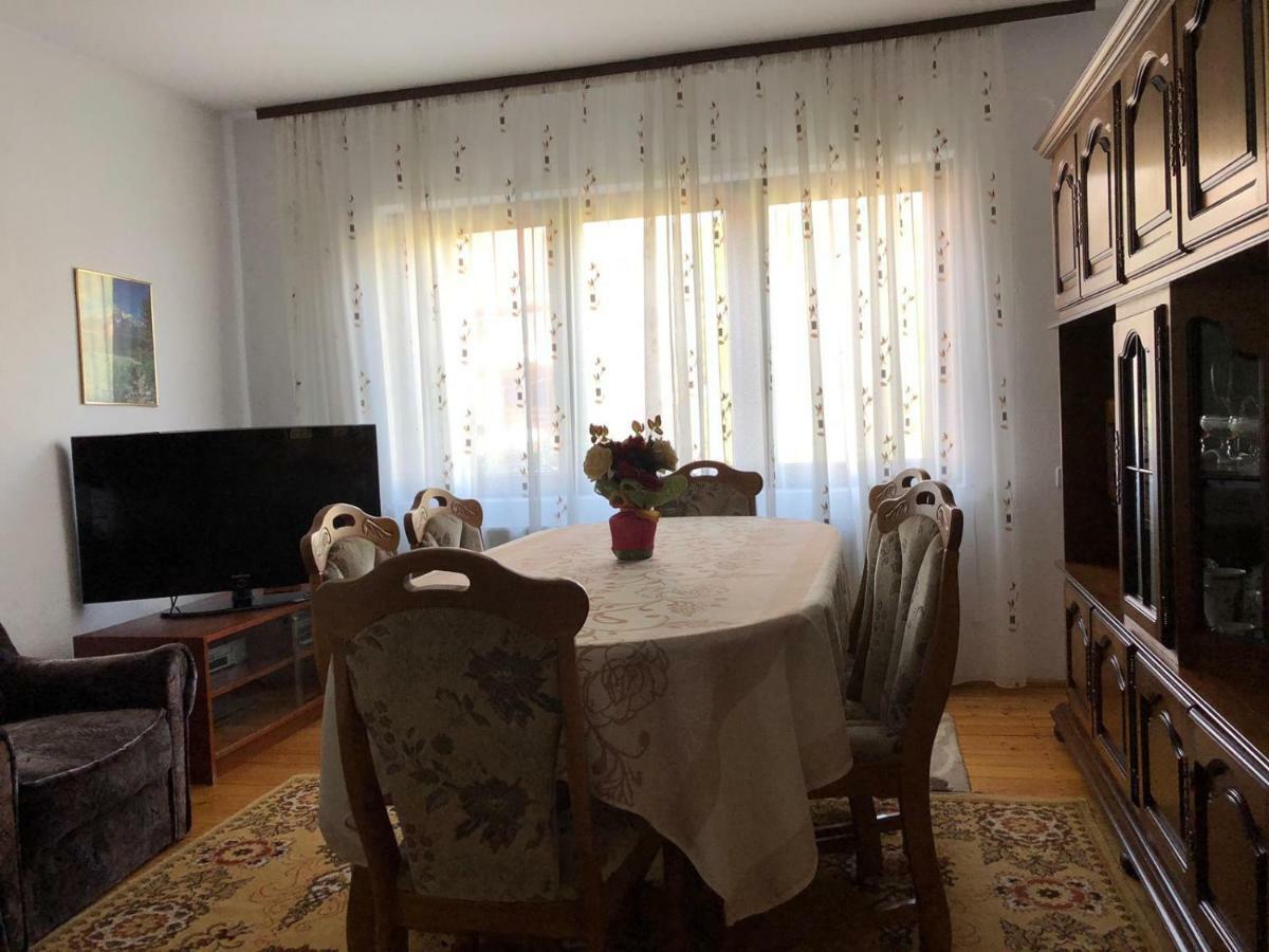 Casa Ani Villa Borşa Esterno foto
