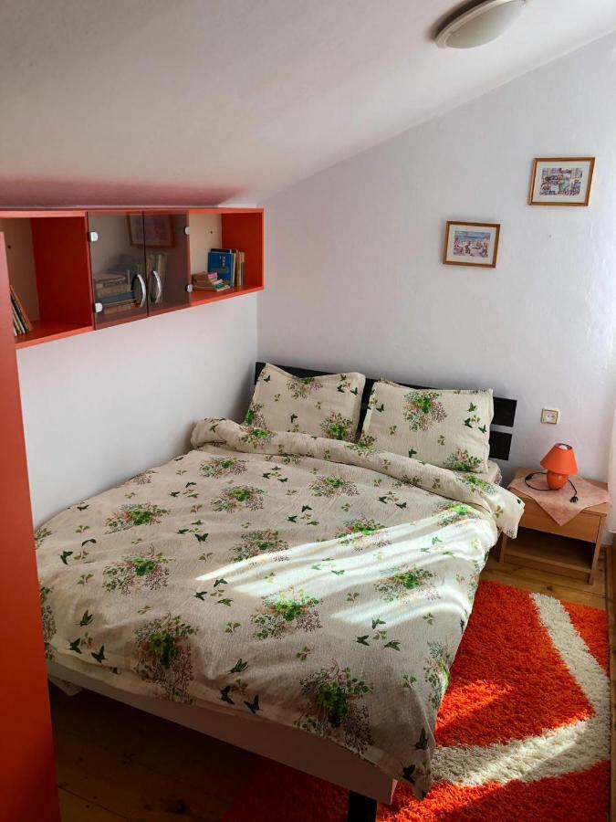 Casa Ani Villa Borşa Esterno foto